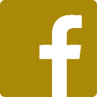 Facebook Logo gold