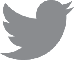 Twitter Logo grey
