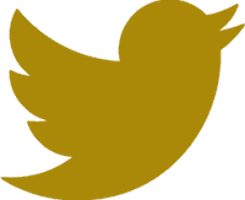 Twitter Logo gold
